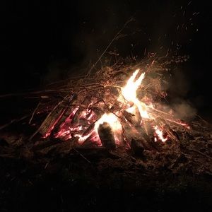 Meet your Posher, Louise